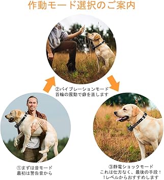 Amazon 無駄吠え防止首輪 Z Zanmx しつけ用首輪 充電式 トレーニングカラー Ipx7防水 犬の訓練首輪 全犬種対応 ビープ音 バイブレーション 静電ショック Ledライト付き リモートコントロール 300メートル通信可能 悩み解消グッズ ペットにやさしい訓練用具 付き Z