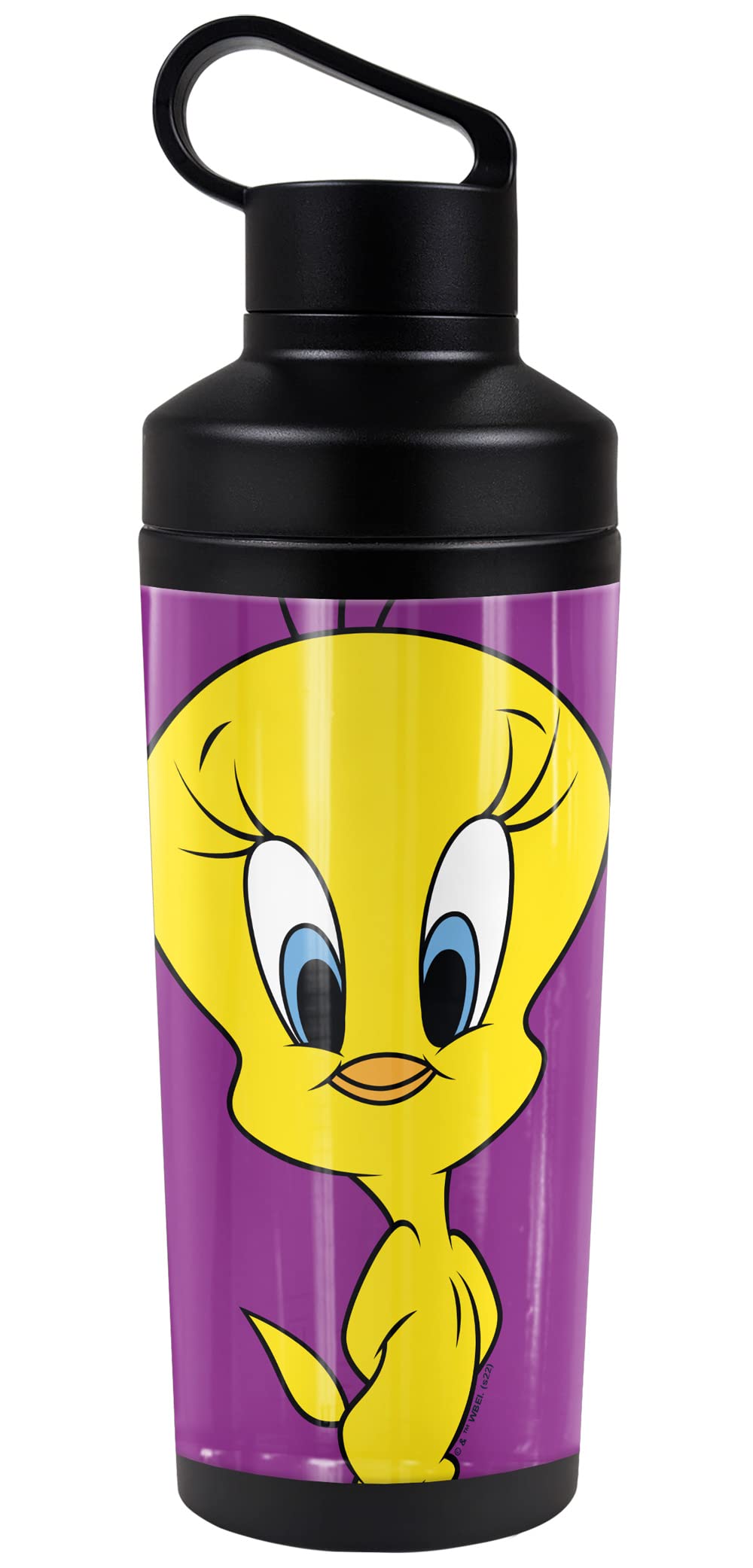Amazon.com: Looney Tunes OFFICIAL Tweety Bird Pose 18 oz Insulated