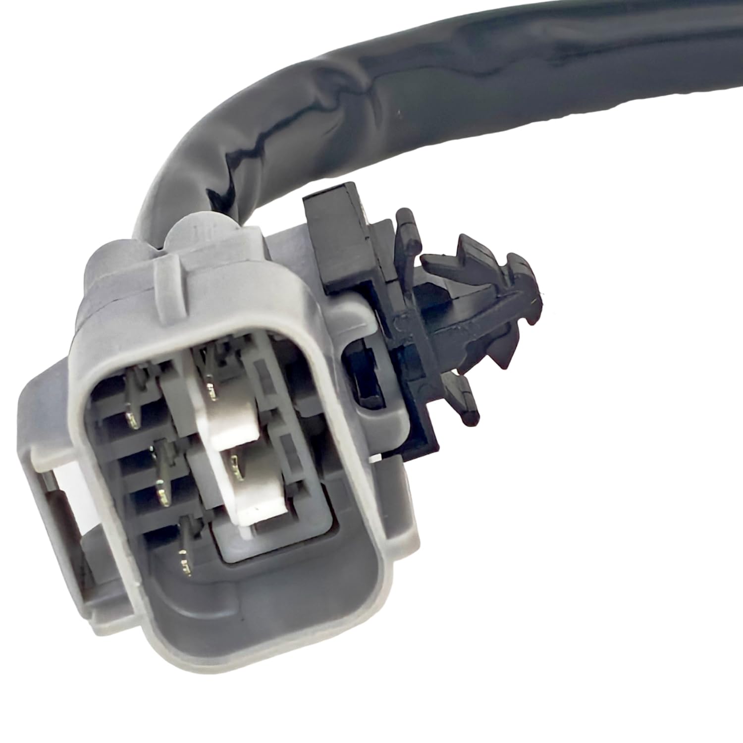 81555-0C010 Socket & Wire Rr Combi Compatible with Toyota Tundra Base Limited SR5 3.4L V6 4.7L V8 Gas 2000-2004 Pickup Truck 81555-0C010 Rear Combination Tail Light Harness
