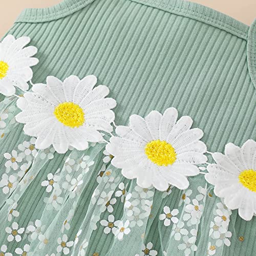 Roupas para meninas recém-nascidas, sem mangas, com estampa de flores, saias de tule caneladas, calç