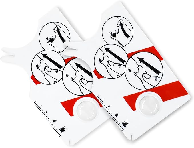 Vorderseite von 📦 Amazon-Artikel B0F4QTWRZX — Amazon zaubert gerade die Details
