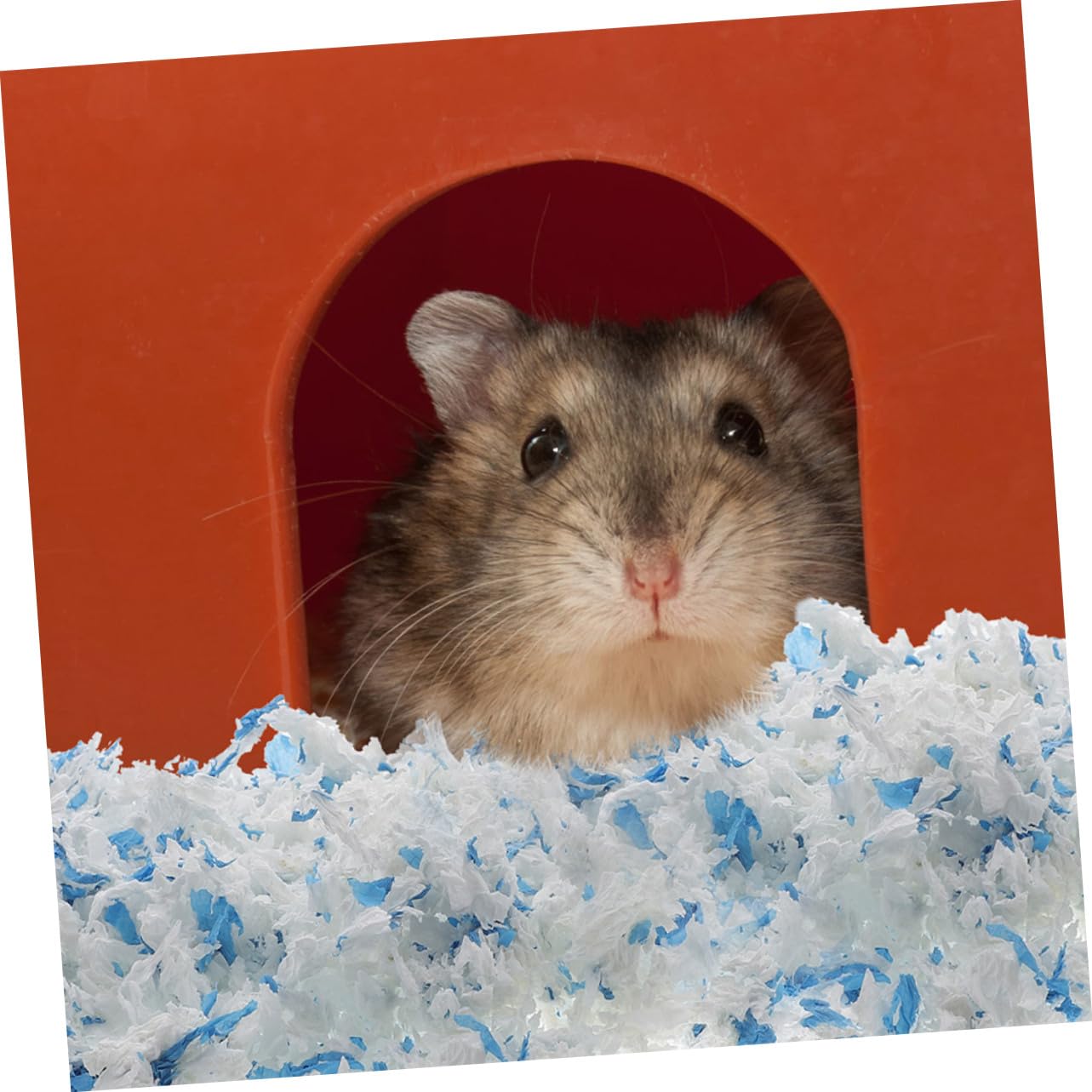 Hamsterstreu aus Papier Papierstreu für Kleintiere Staubarm und Saugfähig 2 Beutel für Käfigeinstreu im Kleintierkäfig