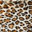 Gold Galactic Leopard