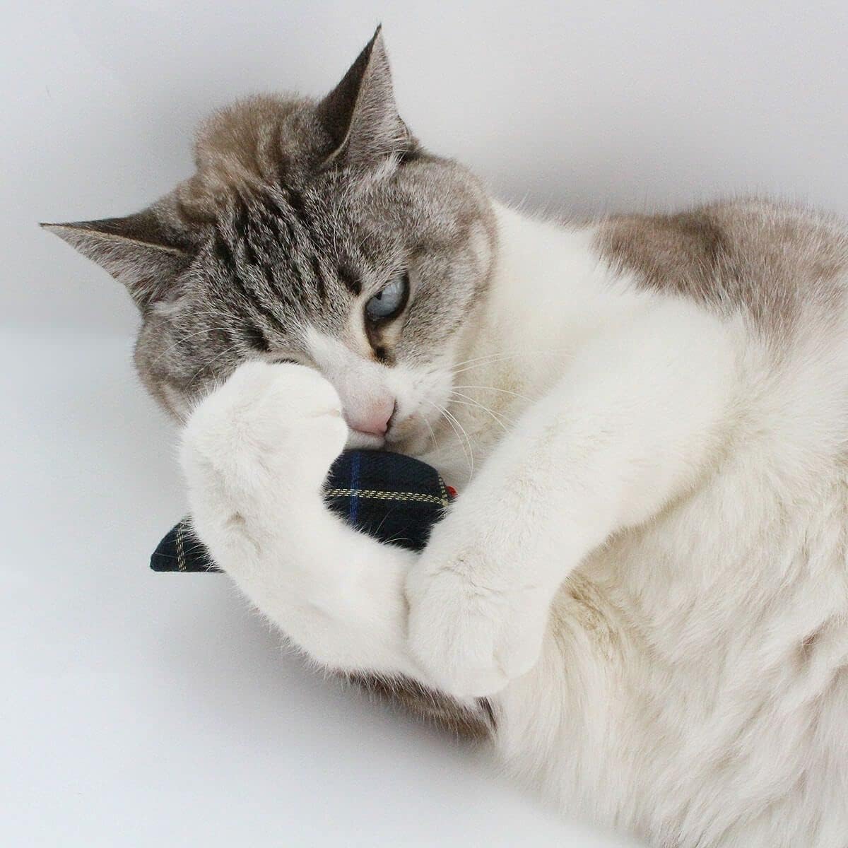 Amazon Nekozuki ねずみ 猫 おもちゃ Nekozuki ねこずき ネズミ ぬいぐるみ 通販