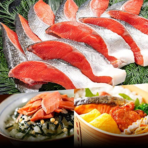 kCMs эymX VRg Ì g 100g×5×2 VR g Ì ؂  p Mtgp ٓ т̂ ܂