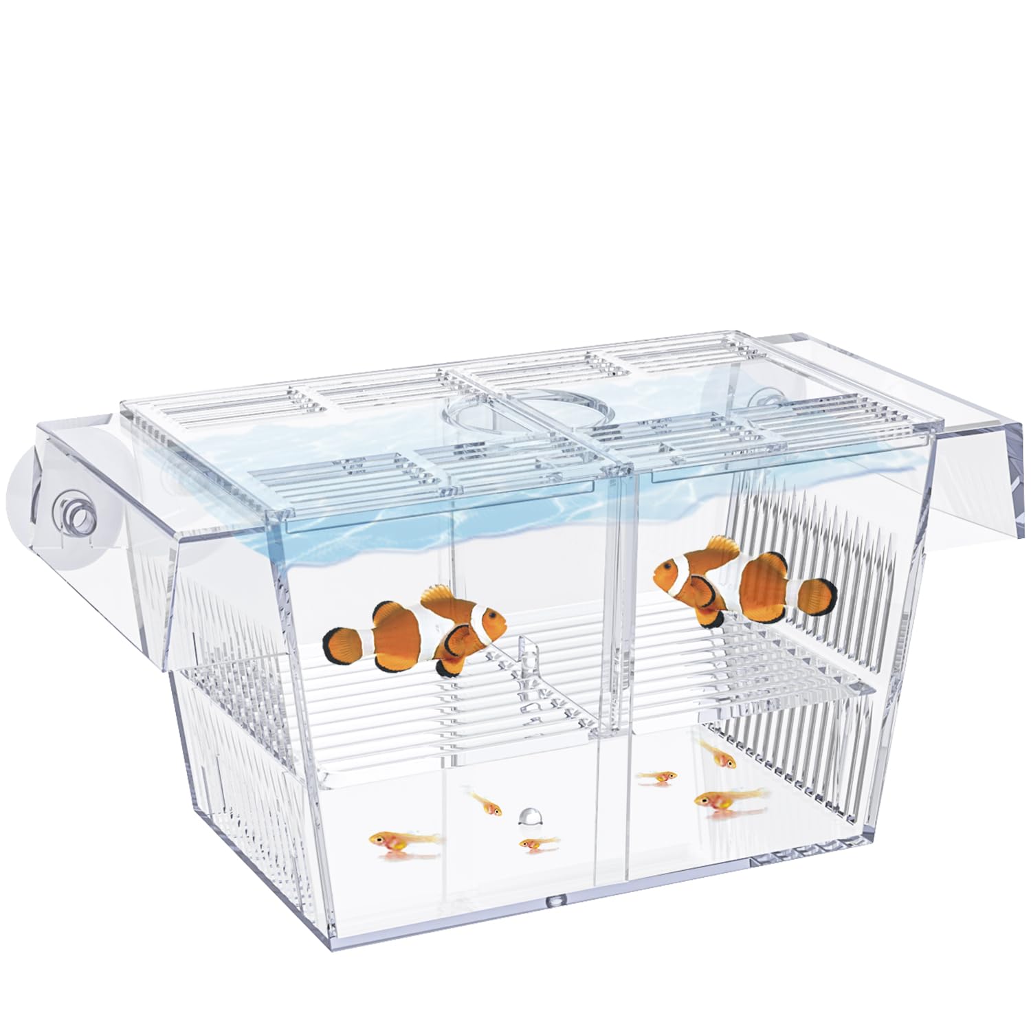 Pawfly Acquario Box per Allevamento Pesci Incubatrice Acrilica Serbatoio con Ventose Medio Box di Isolamento per Avannotti Gamberetti Betta e Guppy