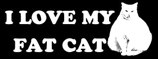 Magnet I Heart My Fat Cat Bumper Magnetic Sticker (Love fatcat Decal)