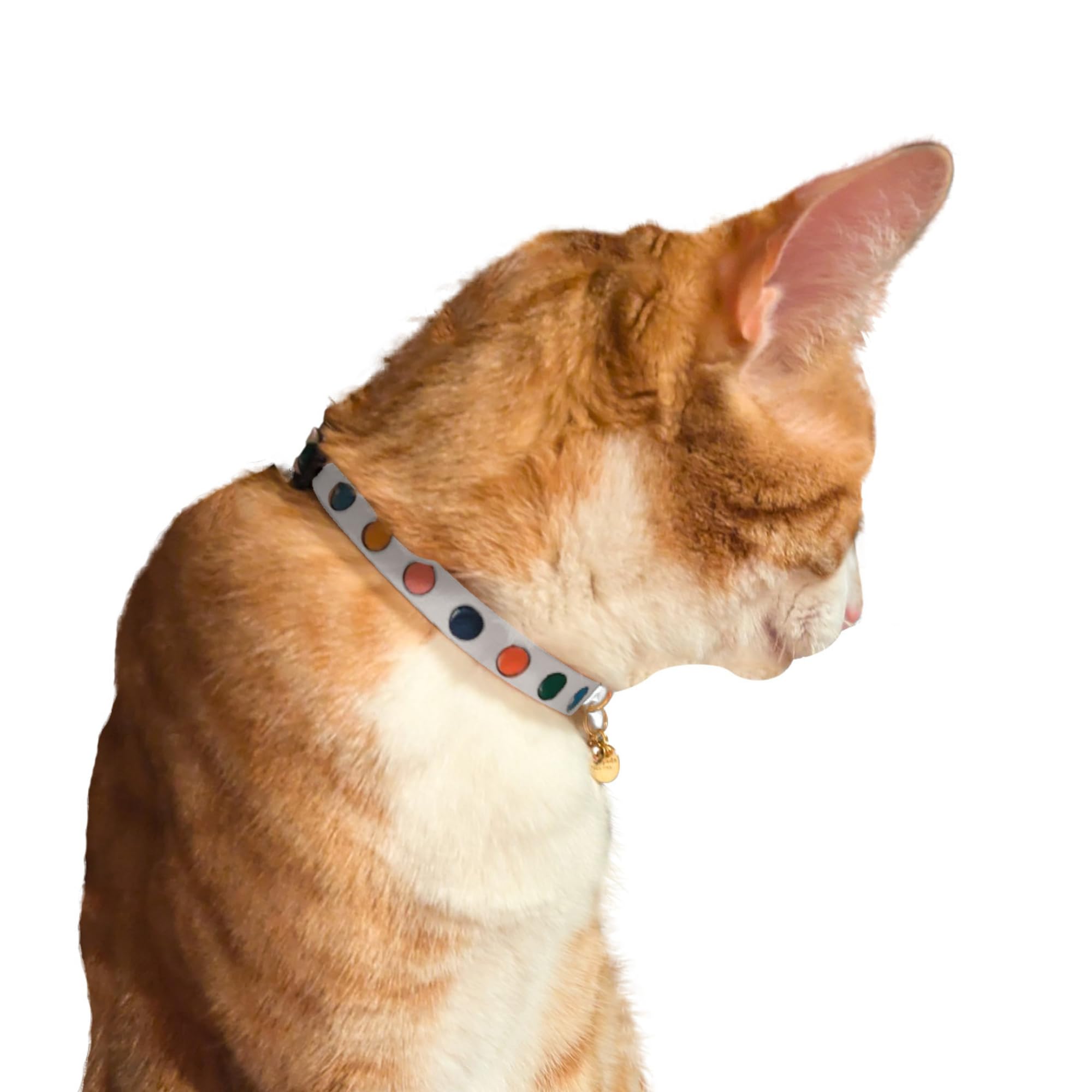 kate spade new york Breakaway Katzenhalsband, verstellbares Halsband mit Schnallenverschluss, Aquarell-Punkte