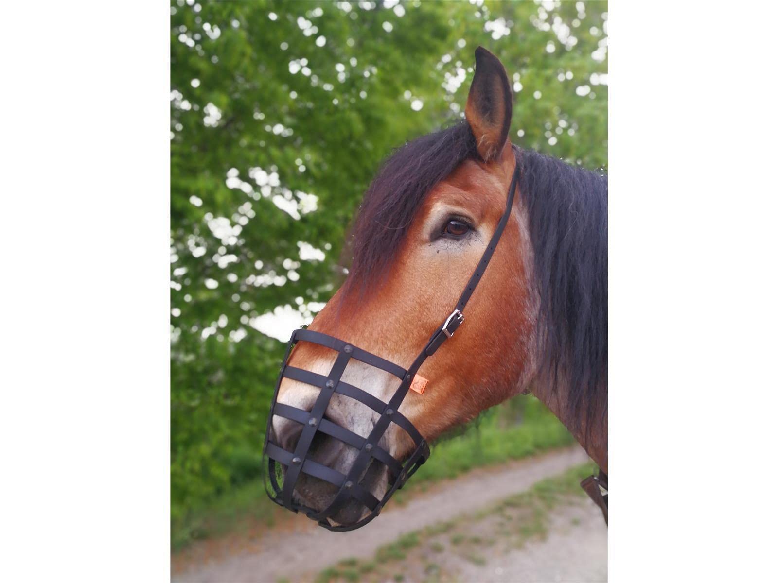 Fressbremse Strong Schwere Warmblüter und Kaltblüter mit Kehlriemen und Standartbodenplatte