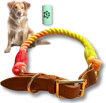 Pawtopia Cotton Braided Rope Collar for Medium Dogs, Vegan Leather Handle Brown with One Complimentary Roll of Dog Poop Bags 15 Bags, Durable Metal Buckle Vivid Rainbow Color, Medium