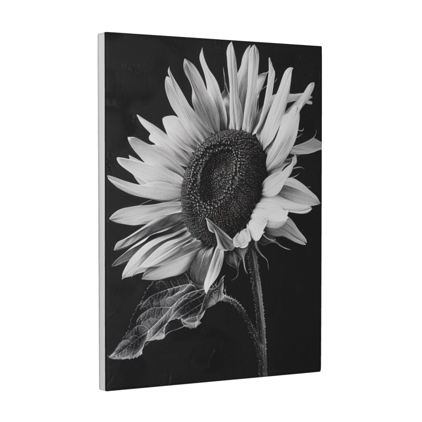 Ykljg White Sunflower Black Grey Printed Canvas Wall Art 30X40 Cm Decorative Artworks Pictures Print Painting Framed Artwork For Bedroom, Living Room & Office