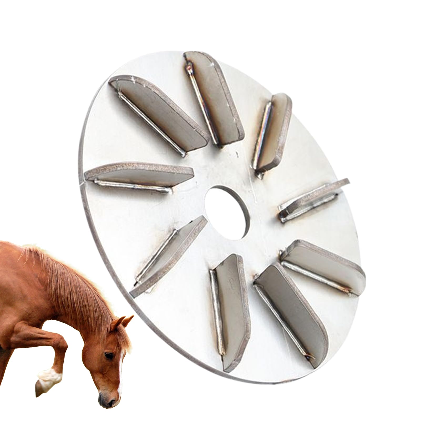 Extracteur de poils de porc, grattoir en acier inoxydable, disque pour enlever les poils de porc, pour chèvres, poules, vaches, moutons, volailles, canards, abattoirs, cuisine