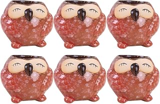 HEMOTON Vaso de Flores 6 unidades de potes de suculenta Vaso de cerâmica para plantas suculentas (estilo aleatório)