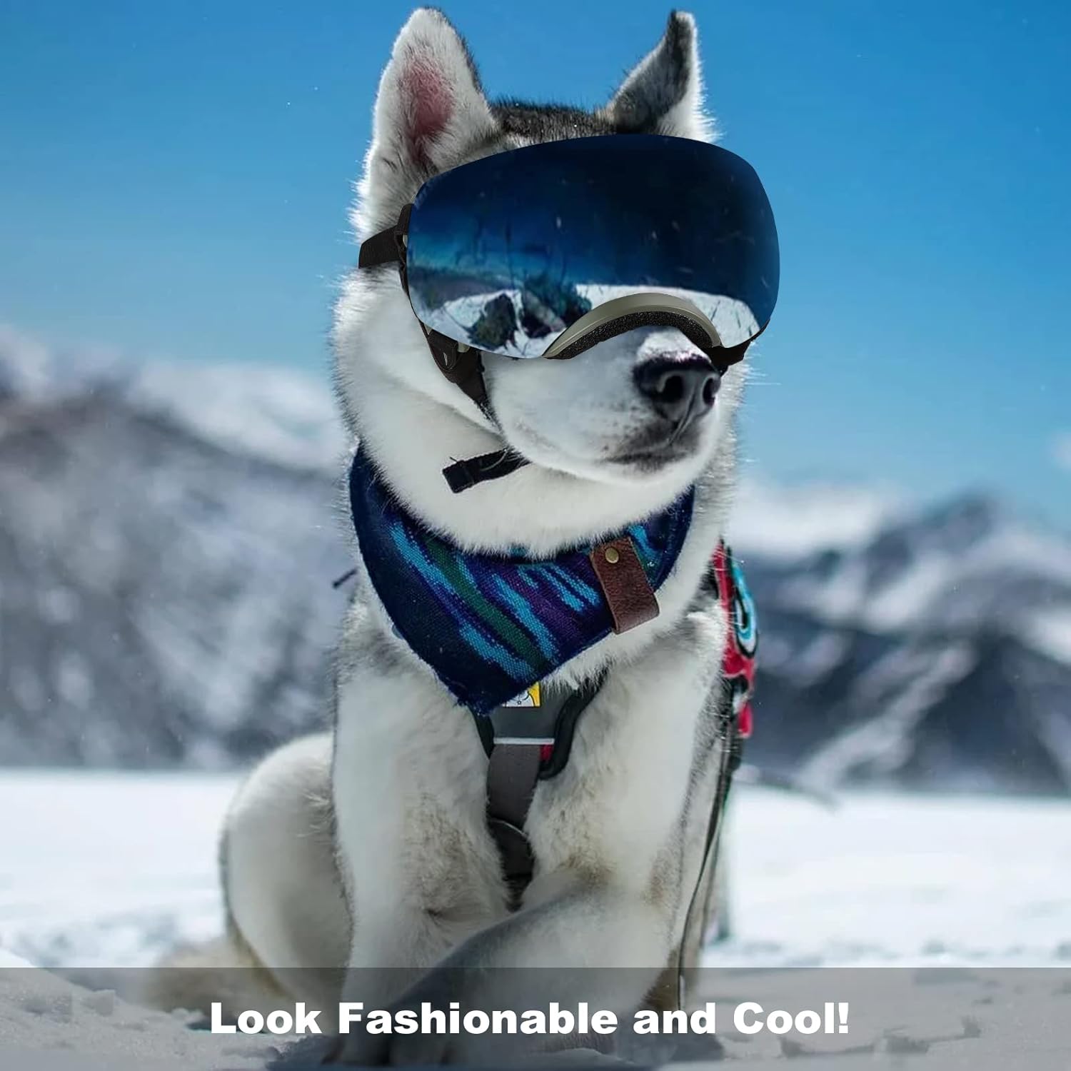 Ownpets Dog Goggles, Goggles with Adjustable Strap, Magnetic Design, Detachable Lens and UV Protection for Middle-Large Size Dog, Alaskan Malamute, Samoyed, Labrador and Border Collie (Green)