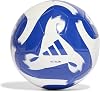 adidas, Sportswear Low 15 Pairs, Unisex