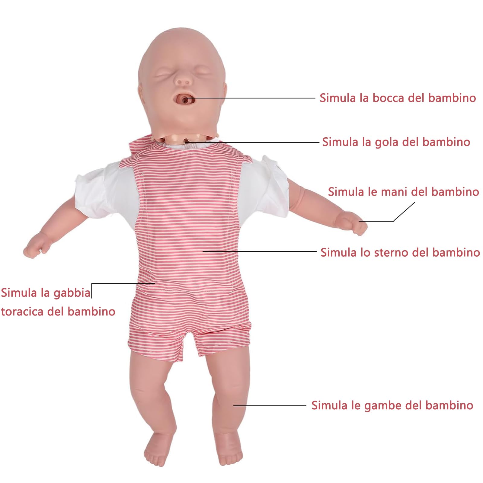 Manichino Infantile di Rianimazione, Modello di ostruzione delle vie aeree infantile, Modello di Rianimazione Cardio Polmonare, Infarto delle vie aeree infantili e modello di RCP