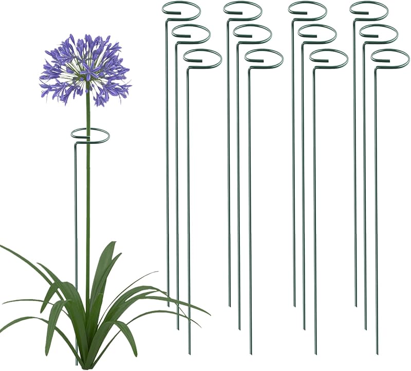 36 pulgadas 20 paquetes de estaca de soporte para plantas de jardín de un solo tallo aros de soporte para plantas para flores orquídeas tomates peonía lirio rosa gladiolo (36 pulgadas)