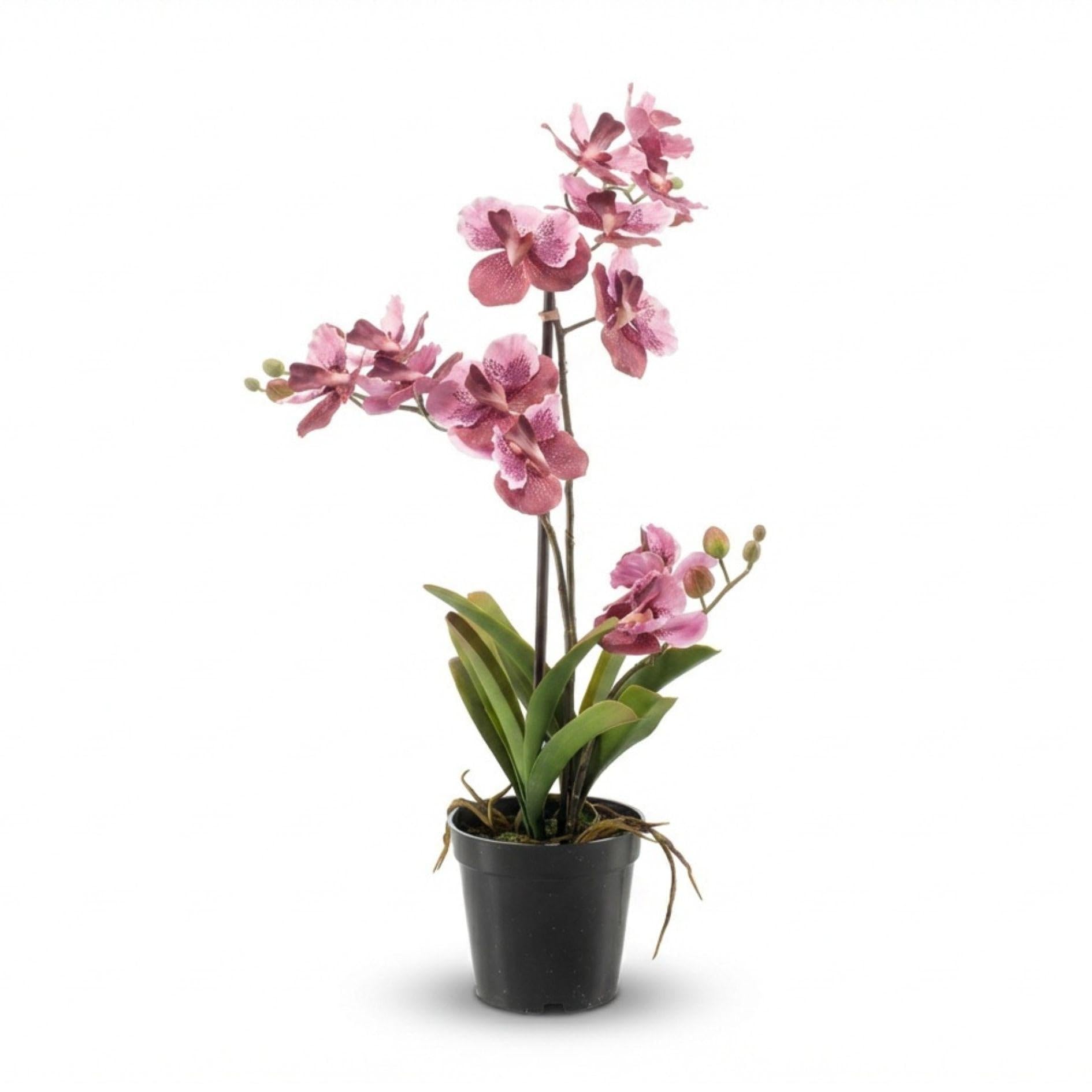 Orchidea Vanda sztuczna roślina – ok. 60 cm – brudny róż – sztuczna orchidea w doniczce – bez pielęgnacji roślina dekoracyjna do salonu, biura i recepcji