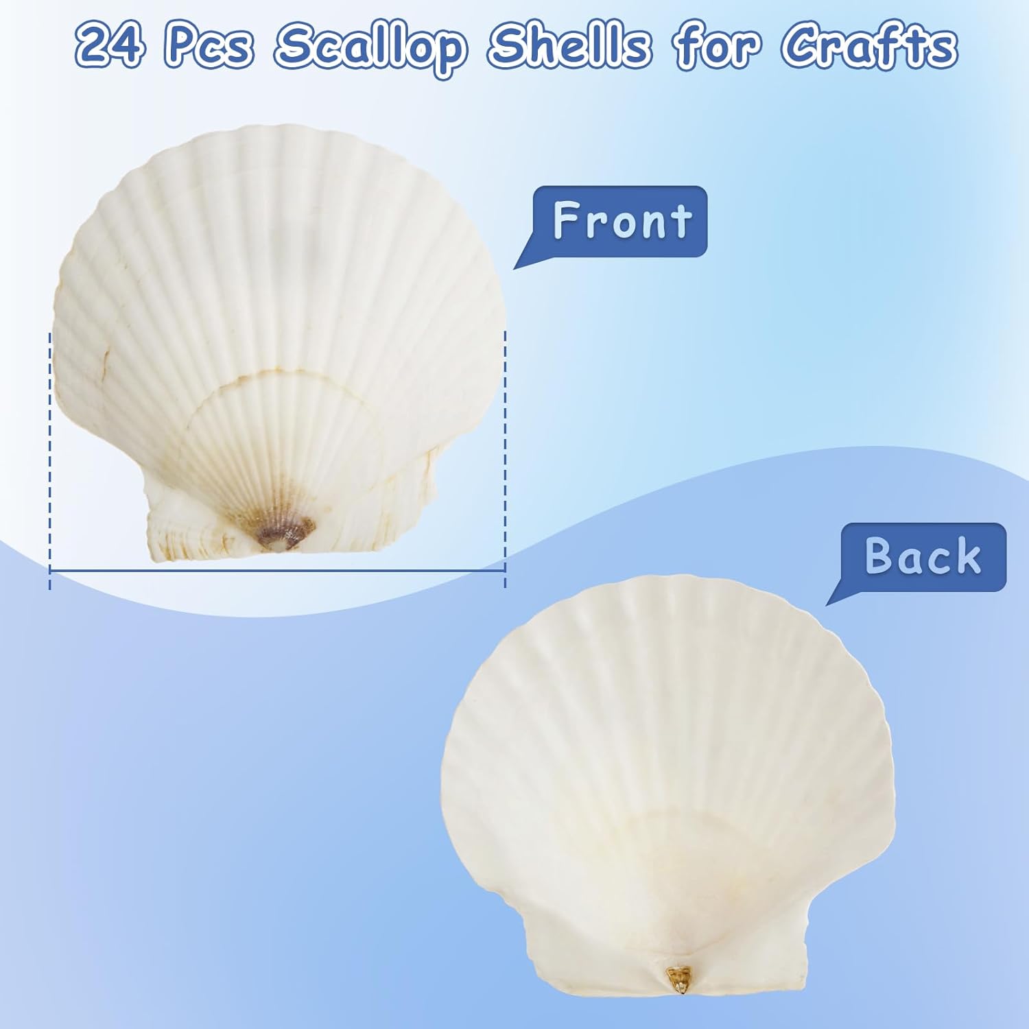 24Pcs Scallop Shells for Crafts, 4"-5" Large Sea Shells, DIY Painting Natural Scallop Shells, Seashells for Crafts, Baking and Beach Wedding Decorations & Home Decor