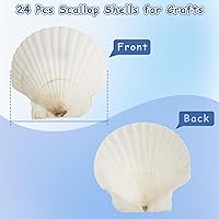 Vista 2 de 24 conchas de vieira para manualidades, conchas de vieira naturales de 4 a 5 pulgadas, conchas marinas blancas para manualidades, pintura