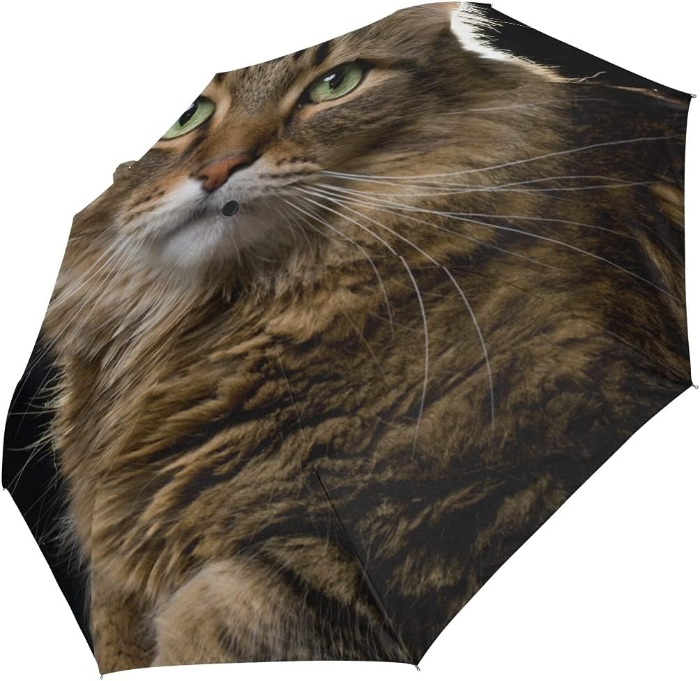 Bolaz Black Compact Travel Umbrella Maine Coon Cat Auto Open Close Umbrella Windproof Anti-UV