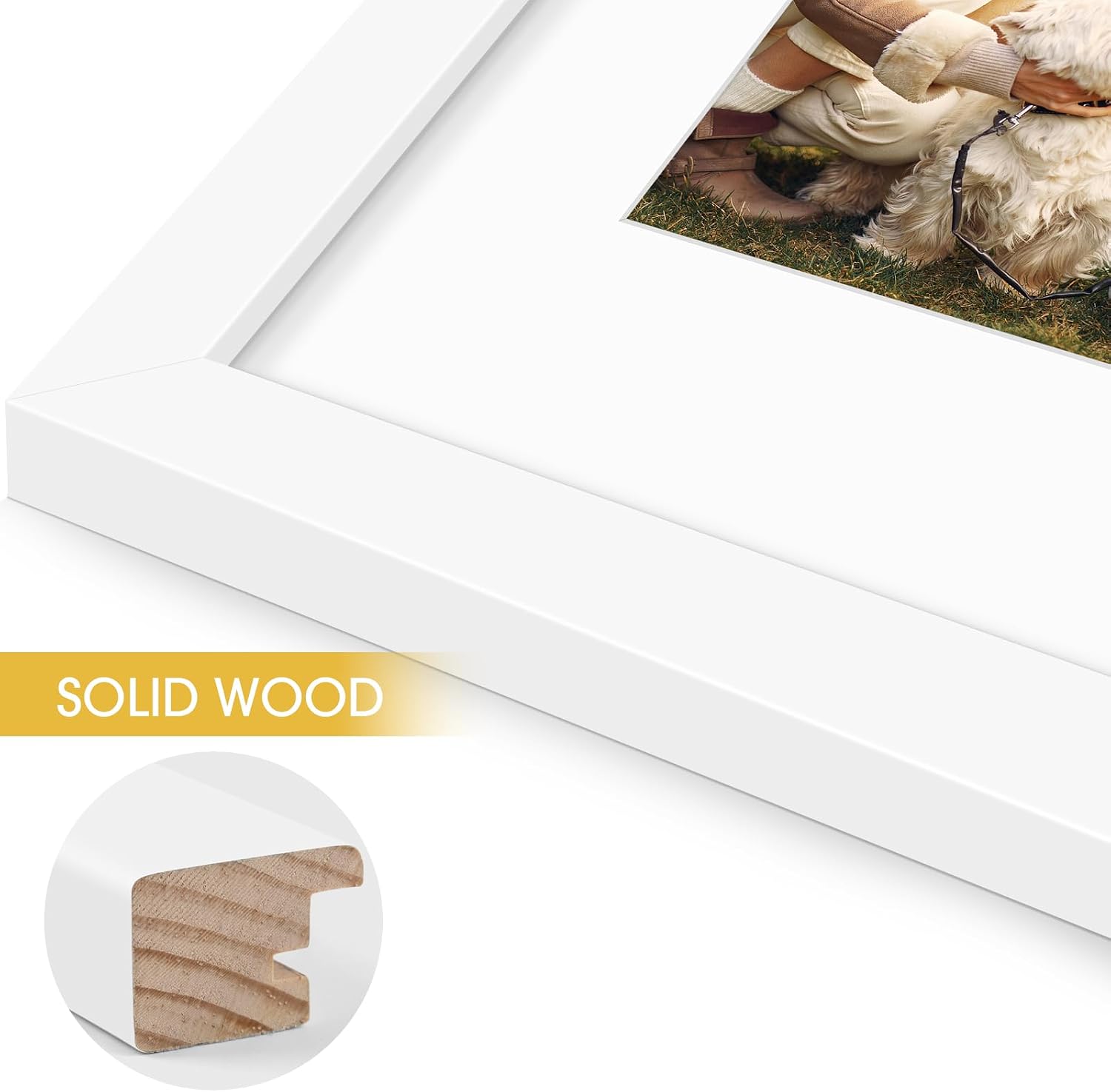 Golden State Art, 11x14 White Photo Wood Collage Frame, for (1) 8x10 with Real Glass and White Mat