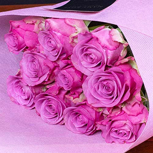 生花 紫バラの花束の人気商品 通販 価格比較 価格 Com