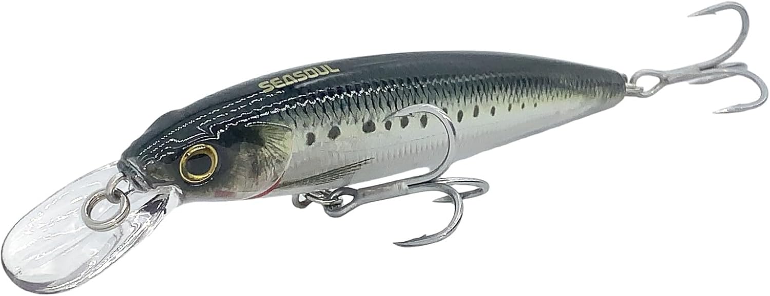 LOGOFUN 2Pcs Fishing Lures Top Water and Deep Sea Bass Fishing Lure for Freshwater and Saltwater Swim Bait 3D Holographic Laser Floating Lure Angling Fishing Gear, 4.7 Inch, 0.8 oz, SW-120F