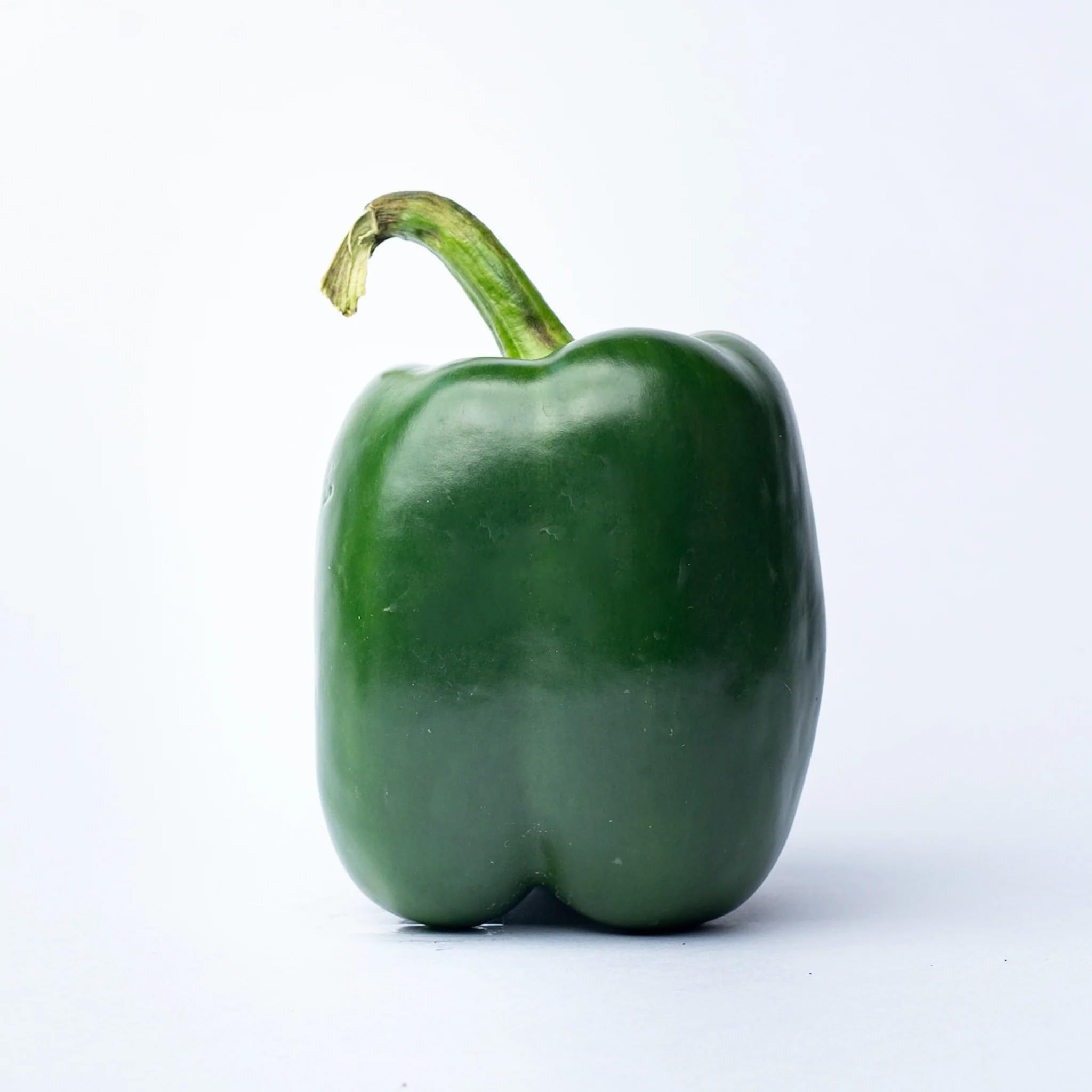 Willvine Capsicum Green Bell Pepper-VISHVA-3B-image-45