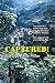 Captured!
