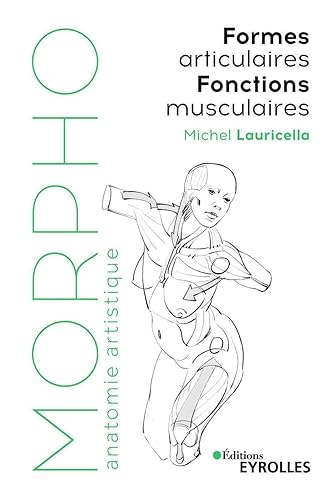 Morpho Formes articulaires, fonctions musculaires