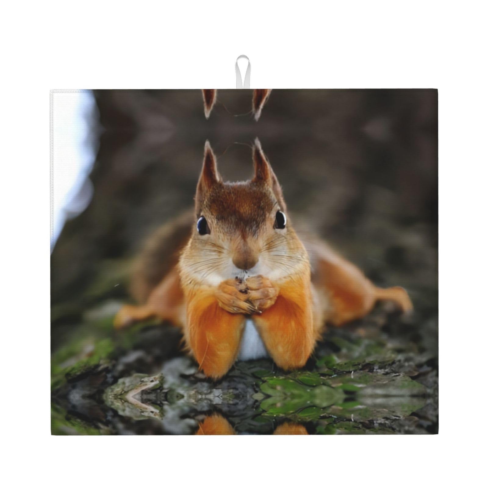 YYHWHJDE Funny Squirrel Prints Kitchen Drying Mat - Absorbent Dish Drying Throw with Vibrant Prints, Quick-Dry Countertop Layer for Dishes & Appliances - Non-Slip & Foldable