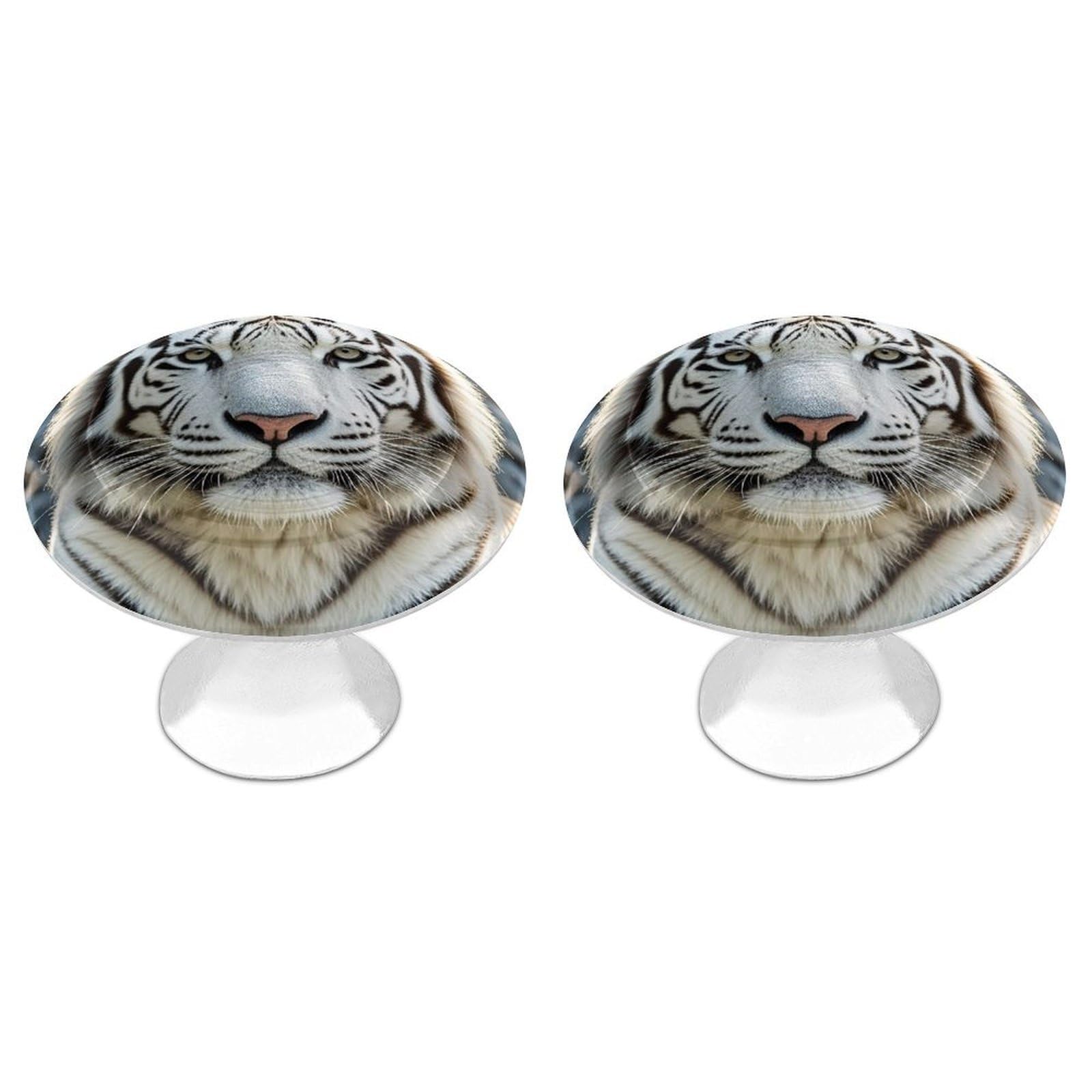 FekiLoot Round Cabinet Knob 2 Pack Kitchen Drawer Knobs Stainless Steel Round Drawer Pulls Modern Cabinet Hardware White Tiger Drawer Hardware for Dresser Closet Door Knobs