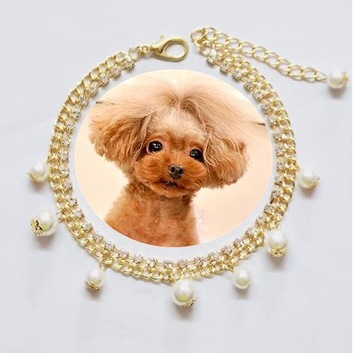 Miniatura 2 de Collar para mascotas con perlas brillantes y deslumbrantes, collar de cadena de oro para gatos y perros