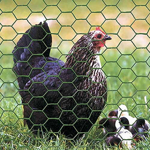 Cerca de conejos y ciervos ideal para proteger huertos con malla hexagonal 4