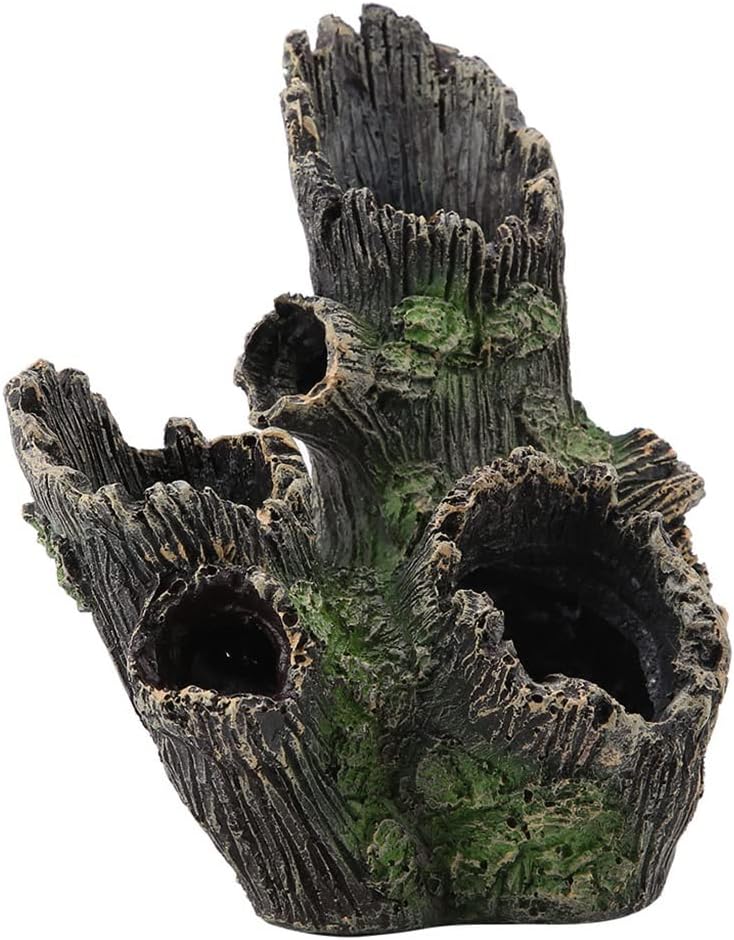 天然珊瑚サンゴ 剥製 タツノオトシゴ 貝殻 ヒトデ 2kg以上 天然珊瑚