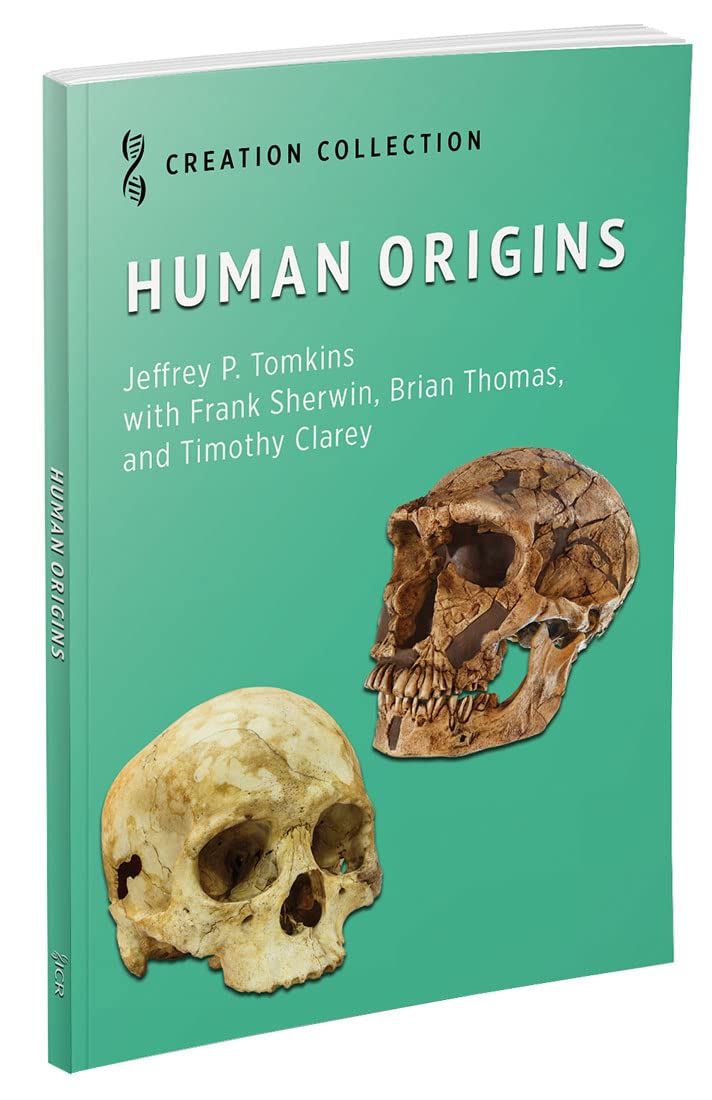 Human Origins