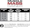 LABRADA Nutrition Muscle Mass Gainer, Vanilla, 12 Pound