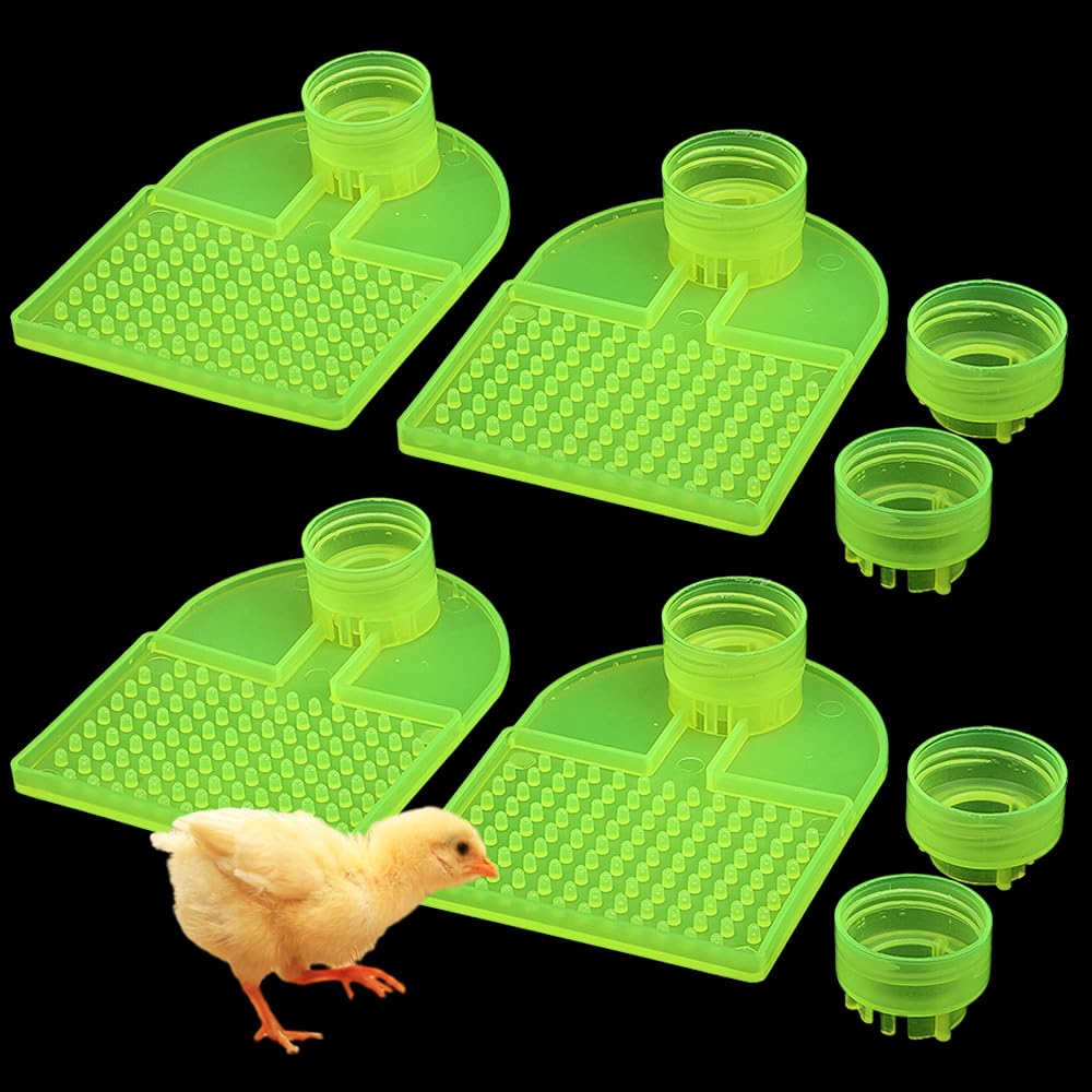 Alimentador automático de agua para aves de corral y mini bebedero de codornices verde