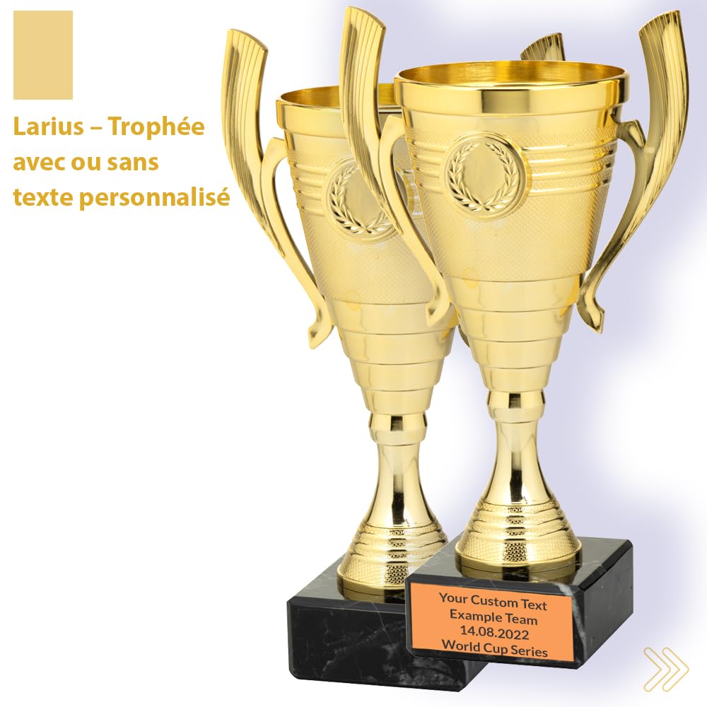 Larius Coupe (22 cm, 415 g) - Trophée élégant et universel avec socle en marbre - Personnalisable - Idéal pour le sport, l'école, les compétitions et les récompenses - B3