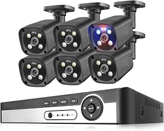 POE Säkerhetskamerasystem NVR Kit Videoövervakningsset Hem 2-vägs Audio Ai Kamera Ansiktsavkänning Färg Natt LäTt Att Installera(4T,8CH NVR AND 6PCS CAM)