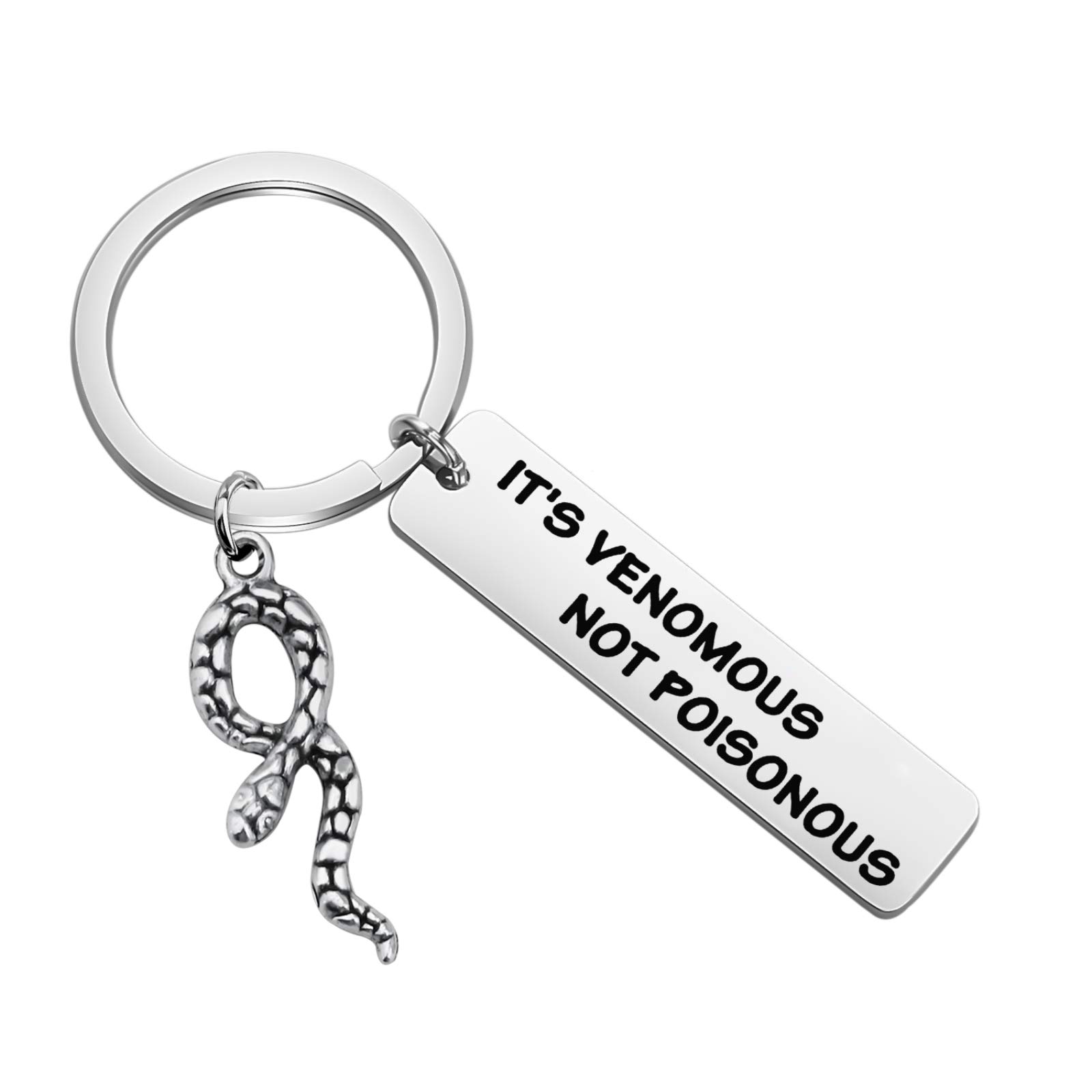 PLITI Snake Lover Gifts: Venomous Snake Key Rings