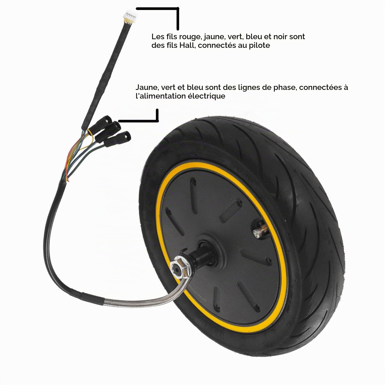 BuyWeek Roue de Moteur de Moyeu de Scooter Électrique pour Ninebot MAX G30, 48V 350W Moteur d'Entraînement de Roue Arrière de Trottinette Électrique