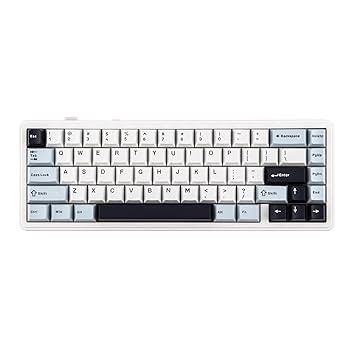 EPOMAKER P65 フルアルミメカニカルキーボード Amazon.com: EPOMAKER P65 QMK/VIA Wireless Aluminum Gaming