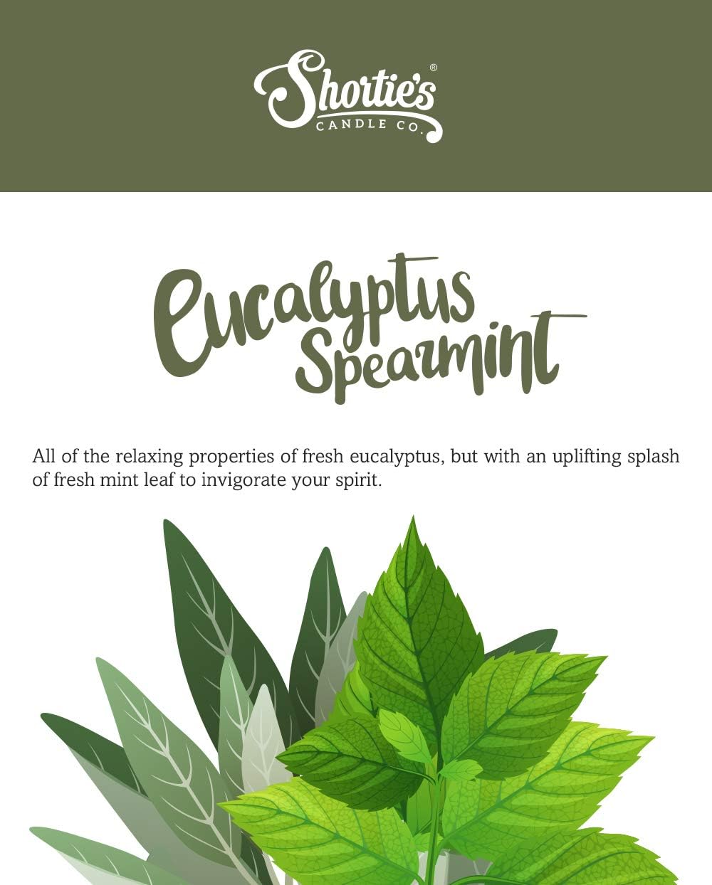 Shortie's Candle Company Eucalyptus Spearmint Premium Wax Melts 4 Pack - 12 Oz., Strong & Long Lasting, Non-Toxic - Made with Essential & Natural Oils - Formula 117