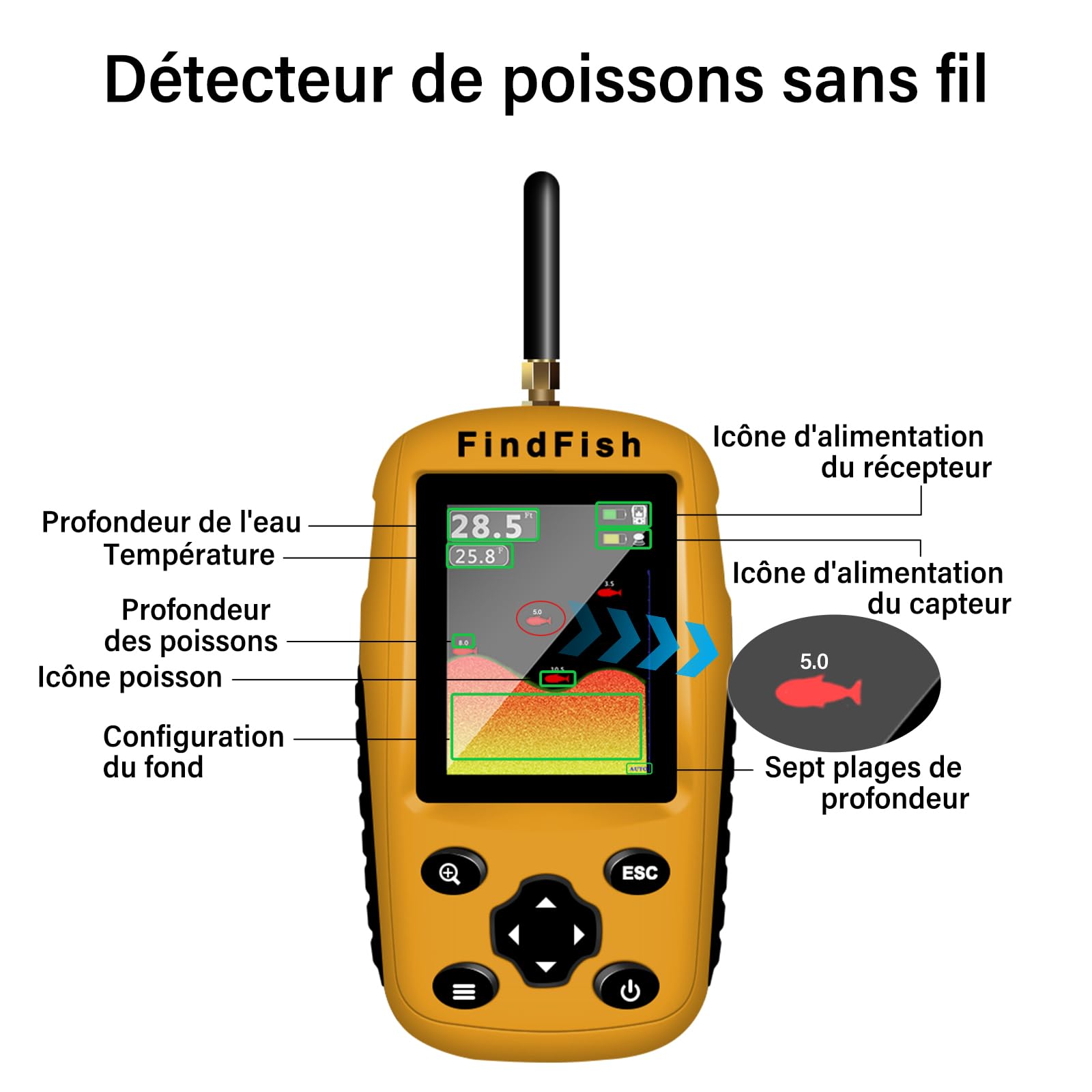 Sondeur de Pêche Portable Ecoscandaglio da Pesca Portatile, Ideale per Pesca Sportiva da Scogli, Riva o Spiaggia, Cerca Pesci da Lancio