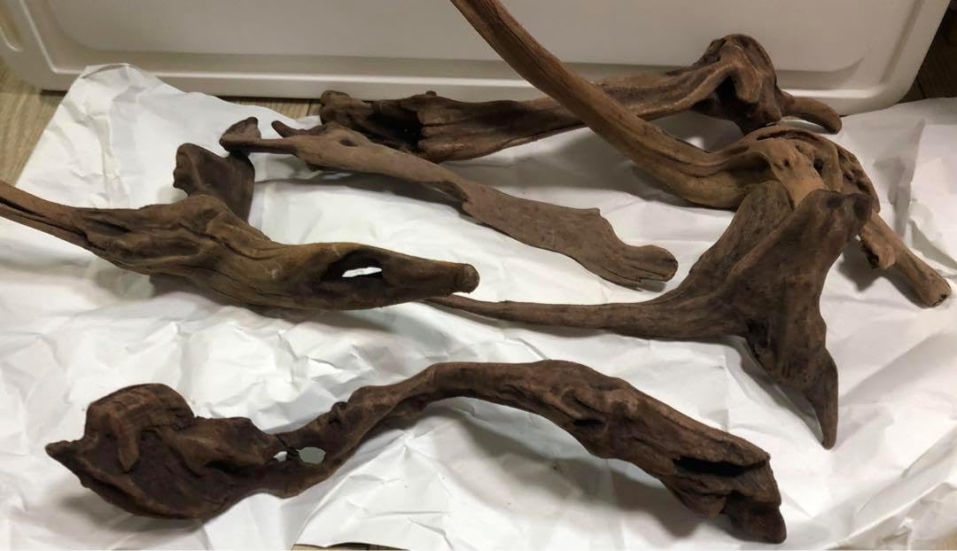 6本セット 流木 テラリウム アクアリウム レイアウト ブランチ 未使用6