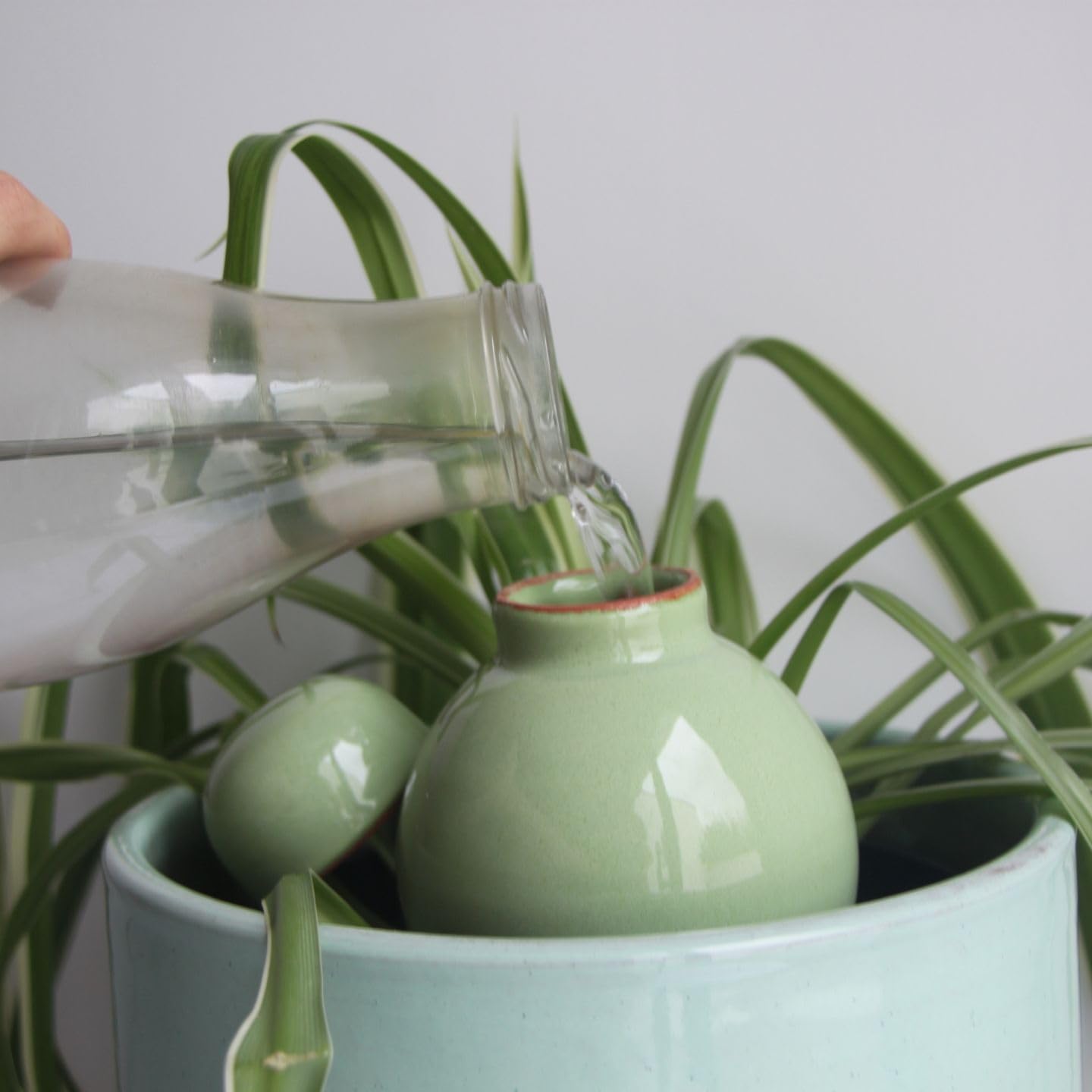Ollas Lutton Olla Terre Cuite à Planter 40cl| Arrosage Autonome pour Plantes d'interrieur Ecologique & Economique | Système d'Irrigation Naturel | Autonomie 3 Jours | Ollas Sabeur Pistache