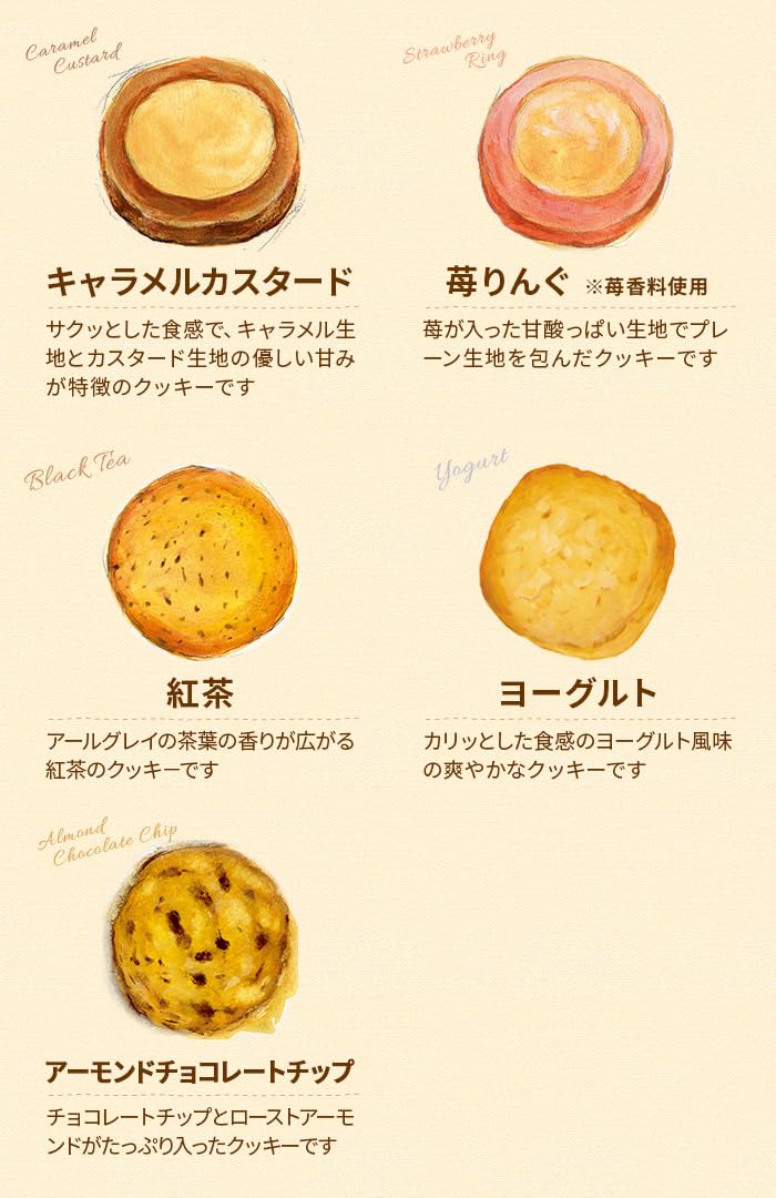 Amazon.co.jp: アントステラ ステラおばさんのクッキー 58枚 ギフト