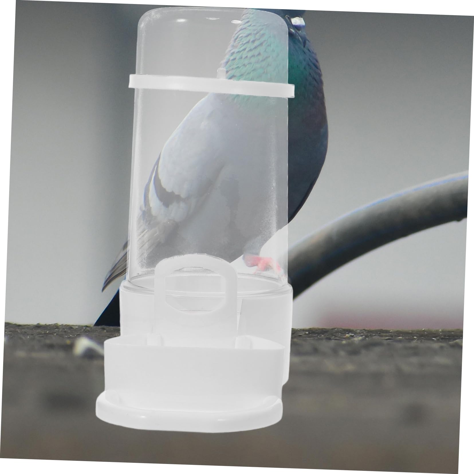 Dispenser Automatico Per Uccelli Abbeveratoio Per Pappagalli e Parrocchetti Facile Installazione Accessori Per Gabbie Per Uccelli Fornitura Continua Di Pulita
